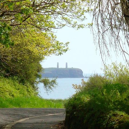 Beach Haven Holiday Hostel Tramore Buitenkant foto