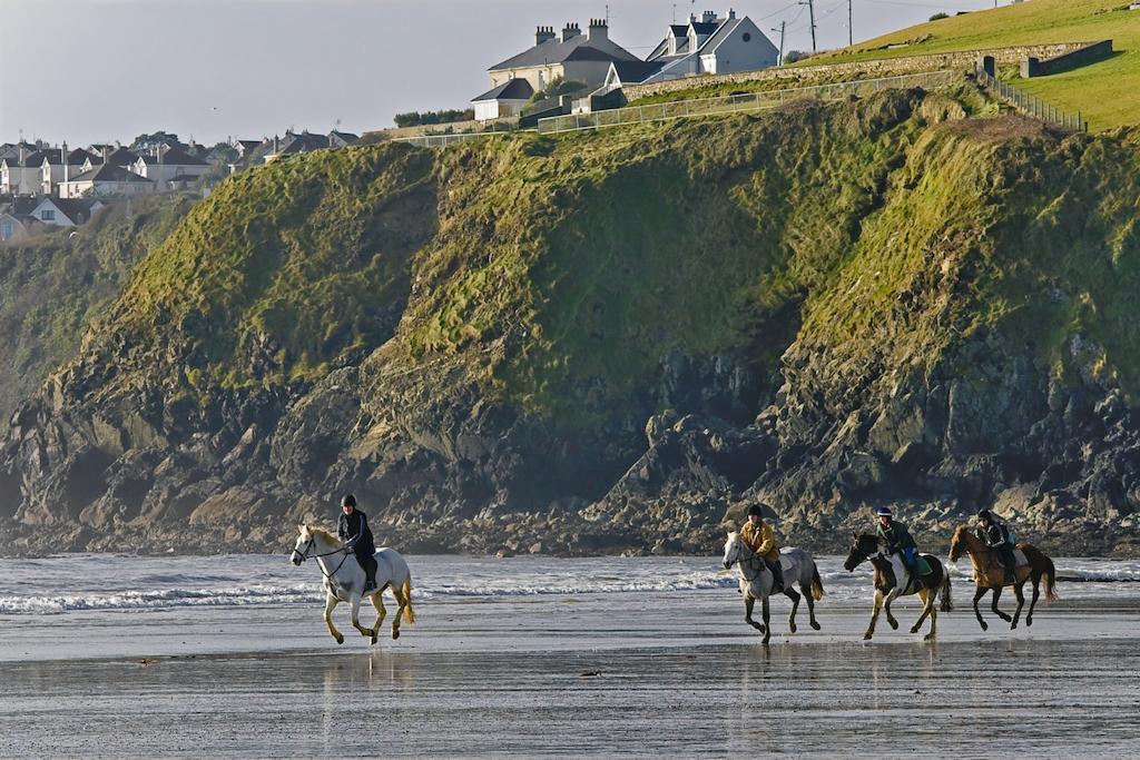 Beach Haven Holiday Hostel Tramore Buitenkant foto